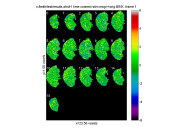 [Click to enlarge image]